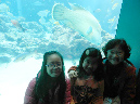 DSCN8333