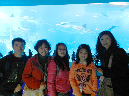 DSCN8342