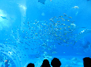 DSCN8344
