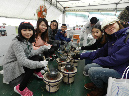 DSCN8416