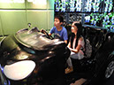 DSCN3354