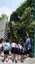 DSC08867