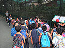 DSCF3917