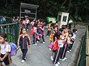 DSCF3954