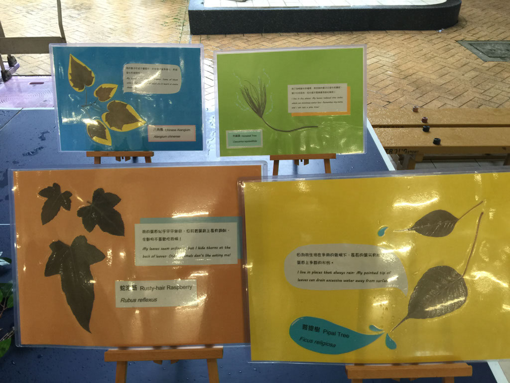 2016-01-28%2014.42.10