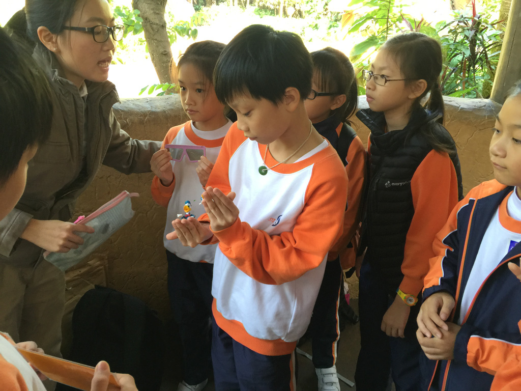 2016-11-24%2012.52.36