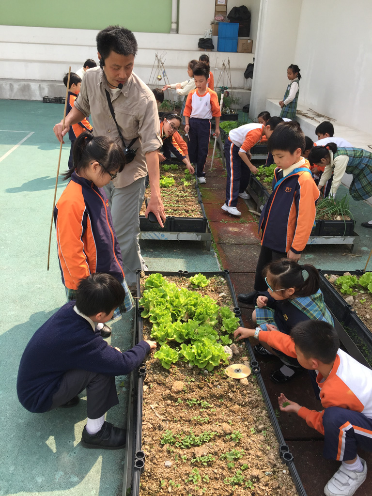 SYS%20farming%203C_11