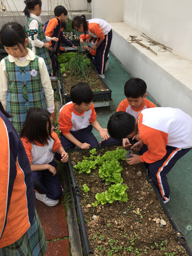 SYS%20farming%203C_13