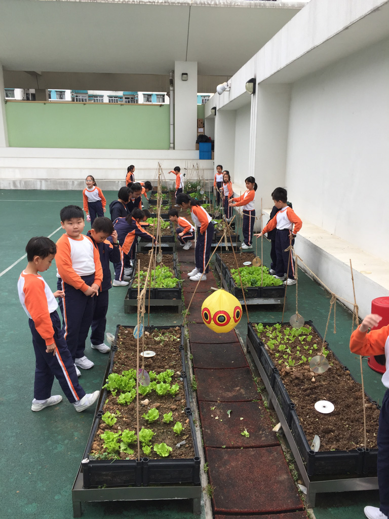 SYS%20farming%203D_01