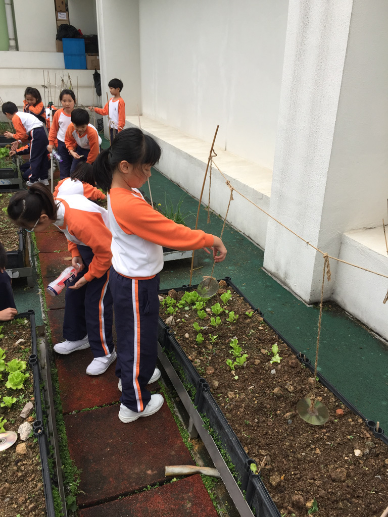 SYS%20farming%203D_02