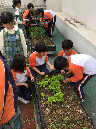 SYS%20farming%203C_13