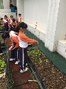 SYS%20farming%203D_02