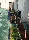 SYS%20farming%203D_04