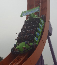 20170505_135023