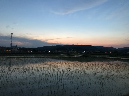 IMG_4224