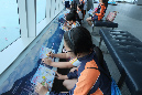 DSCF6518
