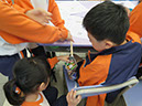 IMG_3910