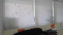 MVI_0812