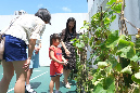 DSCF7532