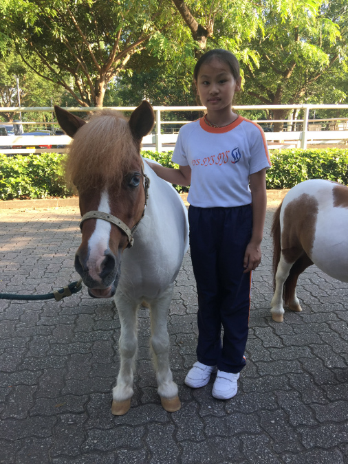 2017-09-28%2016.27.35