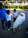 IMG_20170928_163009
