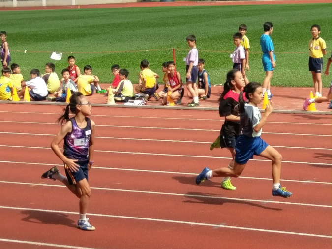 IMAG8275