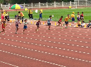 IMAG8247