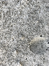 IMG_0336