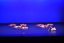 JAS_6114