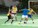IMG_8930