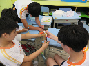 1IMG_2753
