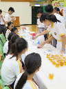2IMG_2767