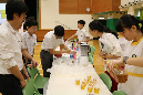 3IMG_1446