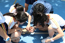 3IMG_1551
