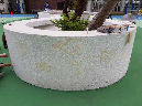 20190227_165318