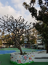 20190228_171717