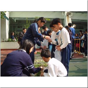 DSCF0664.JPG