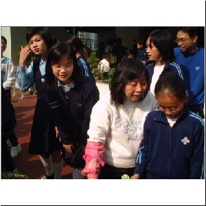 DSCF0679.JPG