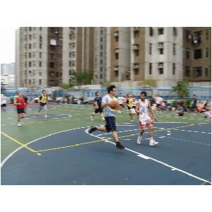 P1000094.jpg