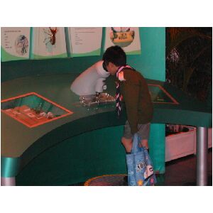 DSCN0173.JPG