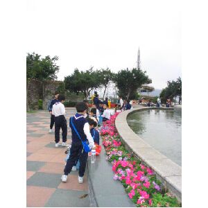 IMG_4421.JPG