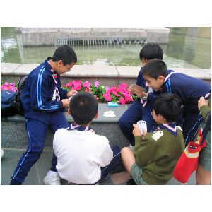 IMG_4435.JPG
