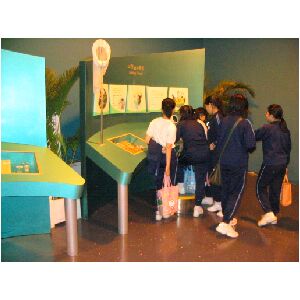 IMG_4449.JPG