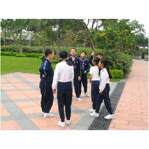 IMG_4469.JPG