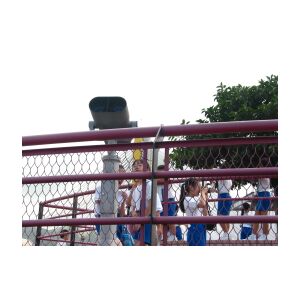 pIMG_0016.JPG