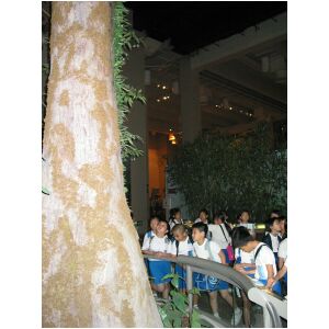 IMG_0014.JPG