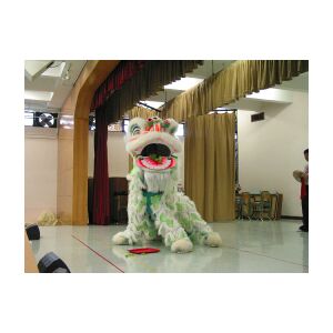 IMG_0060.JPG