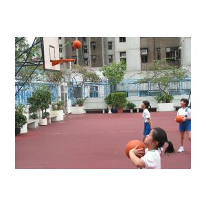 IMG_0082.JPG