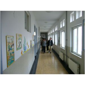 P1000271.JPG