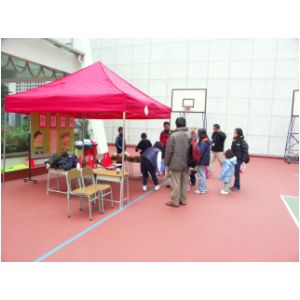PICT7207.JPG